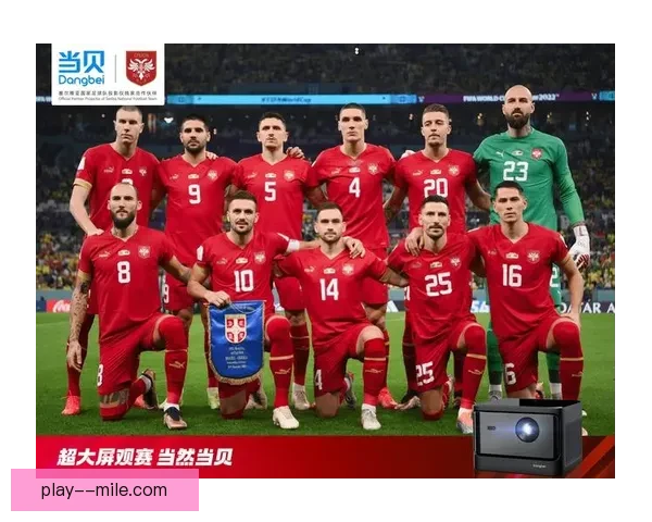 从世界杯参赛经验看球员价值与国家队竞争力提升路径的长期发展意义